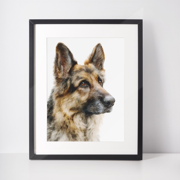 Watercolor German Shepherd Dog Portrait Wall Art Print Poster Unframed - Picture 3 of 6